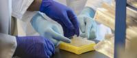 A closeup shot of two sets of hands filling a specimen tray.
